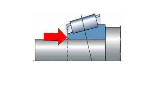 5ce3a1198e645.jpg